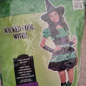 Wicked Witch Costume